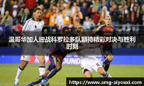爱游戏体育