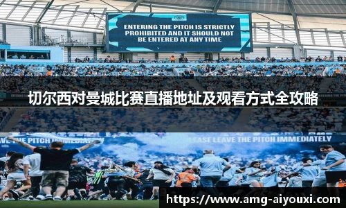 爱游戏登录入口
